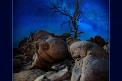 On-A-Dark-Desert-Highway-by-Rich-Cox